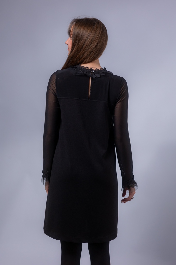 2196_SW_Back