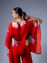 81834_PR_Back